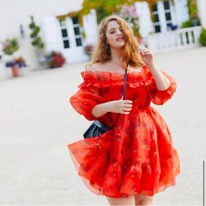 Selkie Like Strawberry Cherub Dress 1x